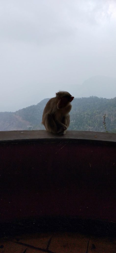 ladys seat view in yercaud by ourbackpacktales