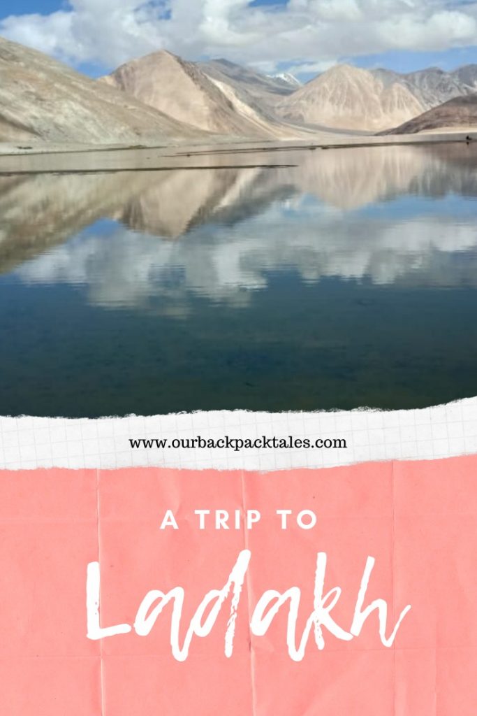 Pinterest pin for ladakh trip 