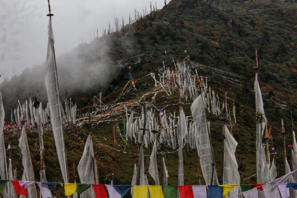 Chelela Pass bhutan travel blog