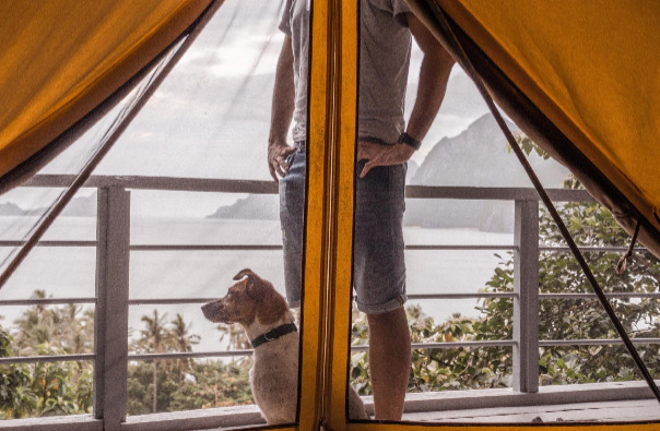 View from glamping tent in philippines is an exotic airbnb experience