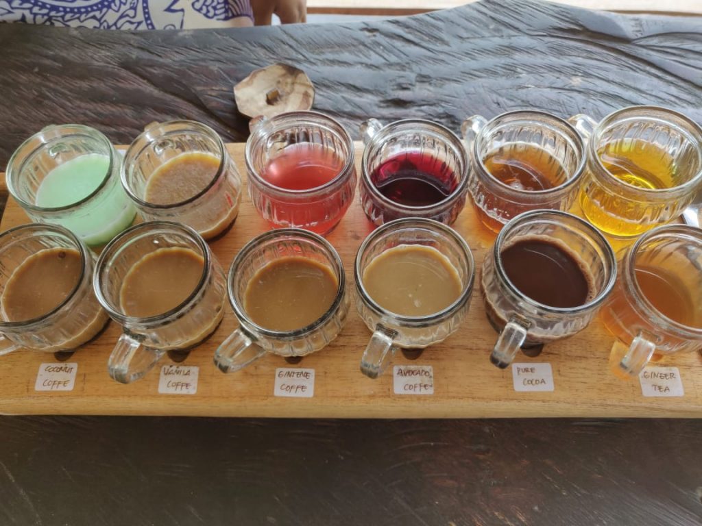 Tea Tasting experience in Bali