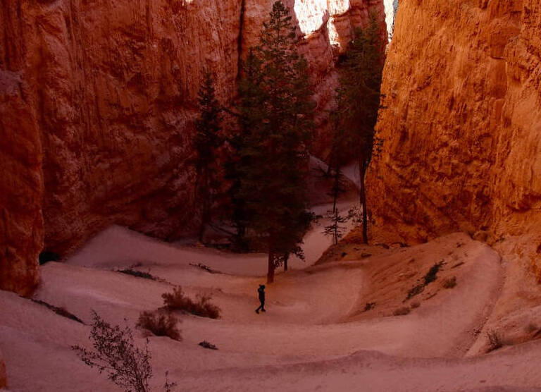 Navajo hiking Trail loop in Utah USA