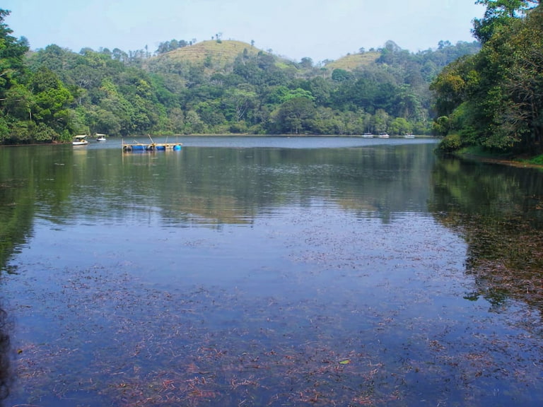 Pookot lake in places to visit in wayanad