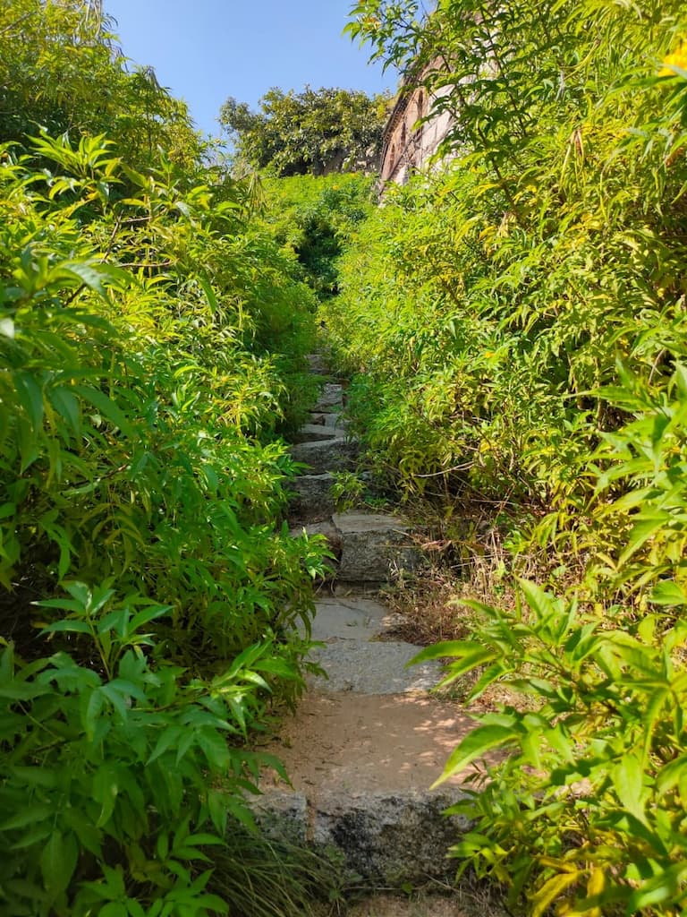 Path towards the fort