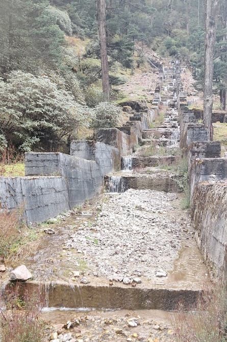 Stairs in Yumthang valley